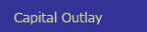 Capital Outlay